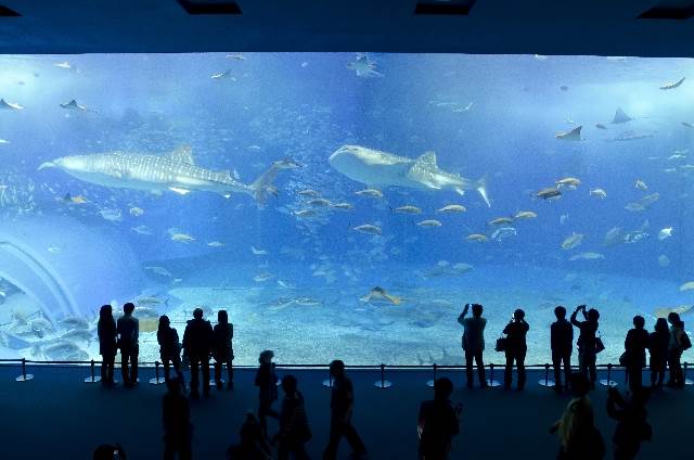 水族館