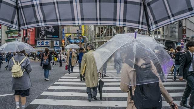 雨